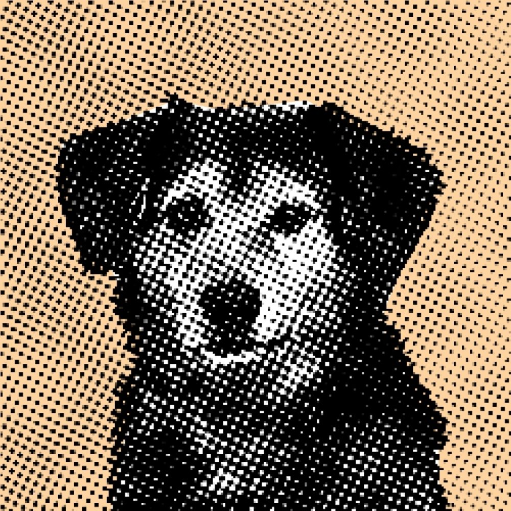 Dotty Dog