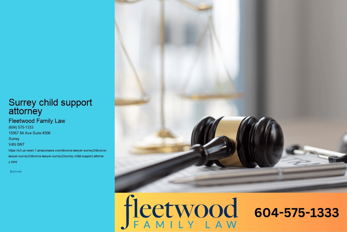 Surrey child support lawyer