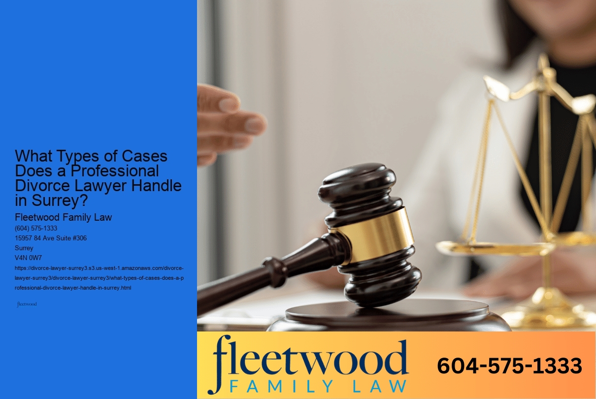 What Types of Cases Does a Professional Divorce Lawyer Handle in Surrey?