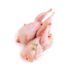 Whole Pigeon 4 Pieces