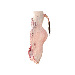 Huwar Hump