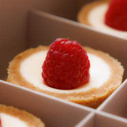 Cheese Cake