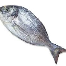 Seabream- 600 grams