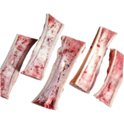 Bone Marrow