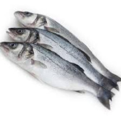 Seabass - 600 grams