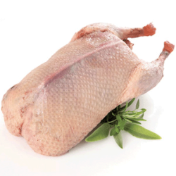 Whole Duck 2.5kg