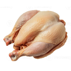 Rooster 5/6kg