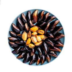 Frozen Stuffed Mussel 