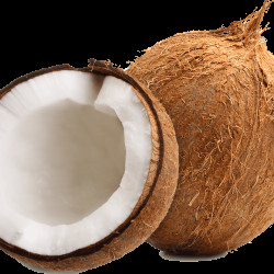 Coconut Fresh 