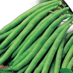 Beans (1KG)