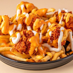 loaded fries