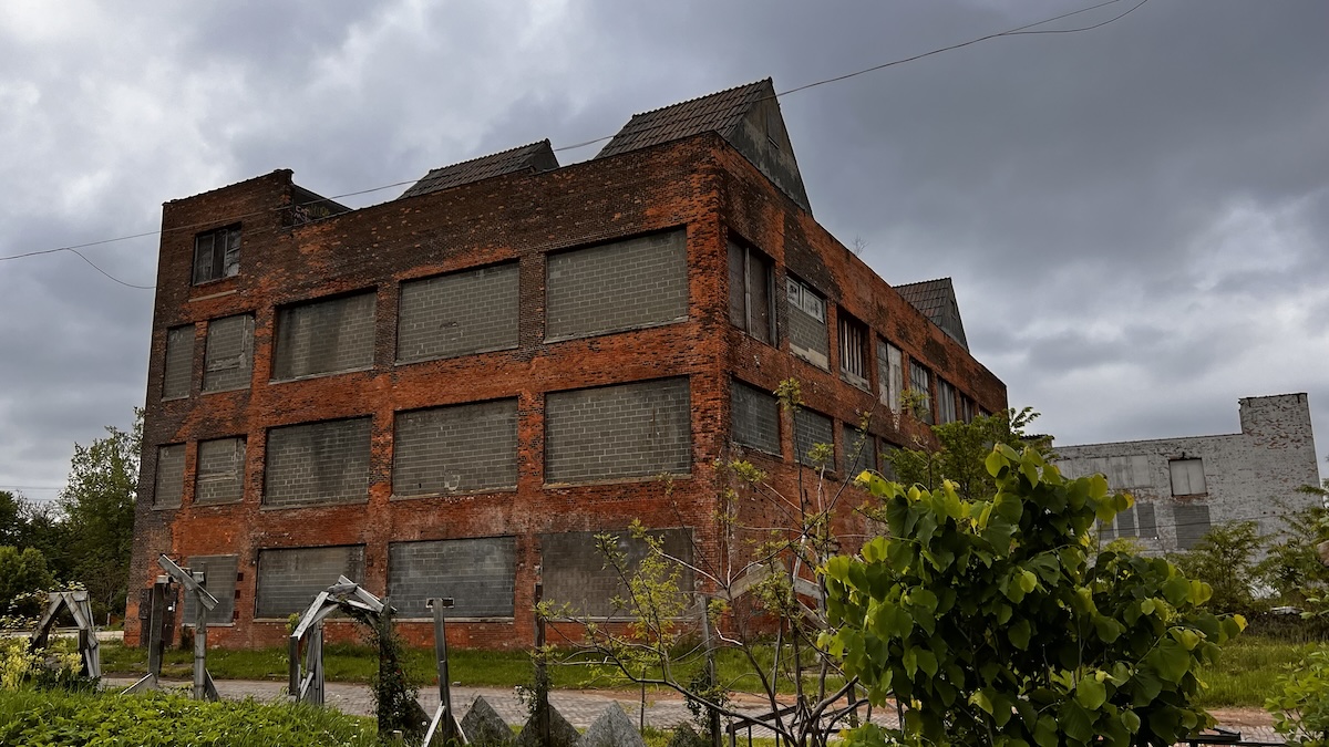 Beach grass and dunes