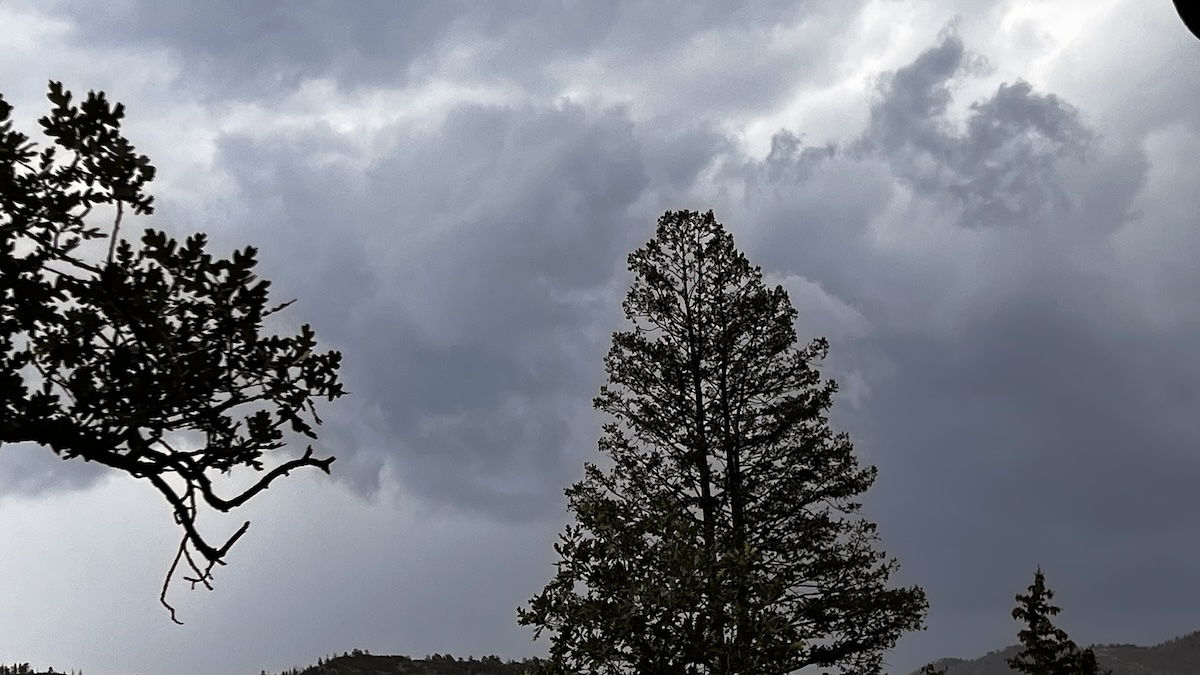 Beach grass and dunes
