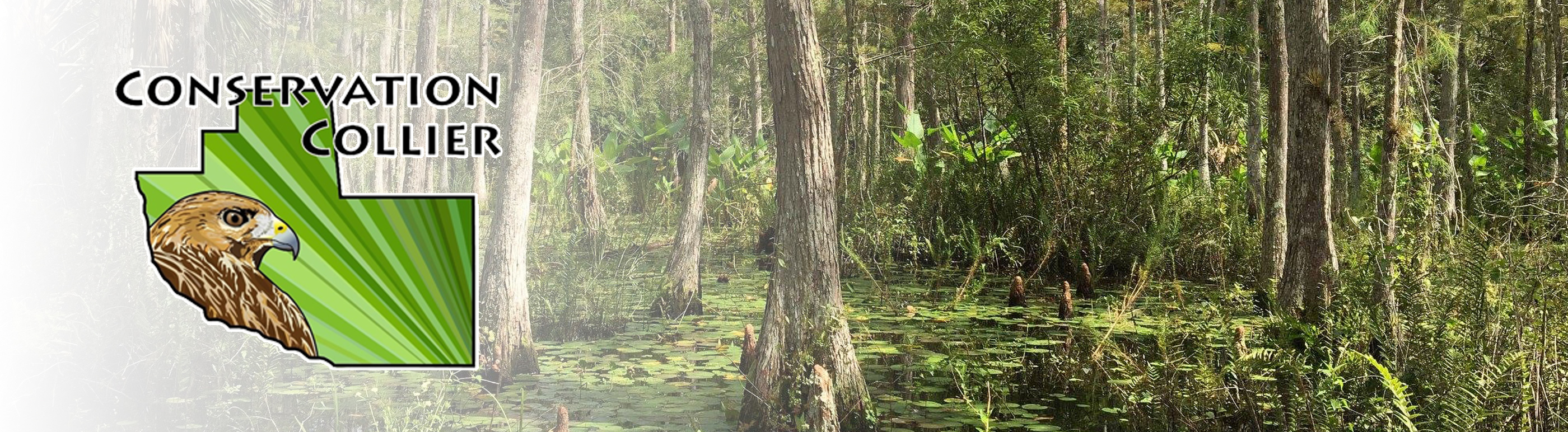 Conservation Collier Banner
