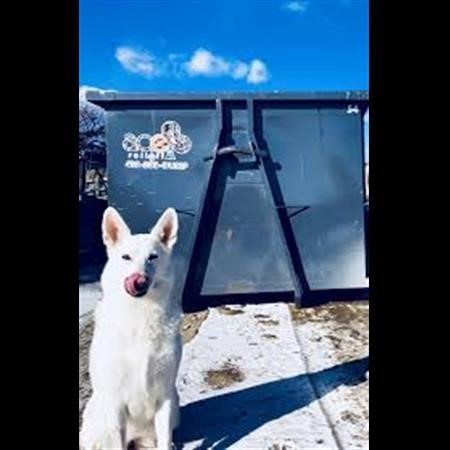 Dumpster Rental Presto PA