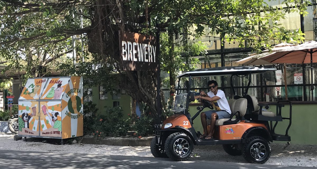 Things To Do in Playa Flamingo Flamingo Beach Golf Cart Rentals