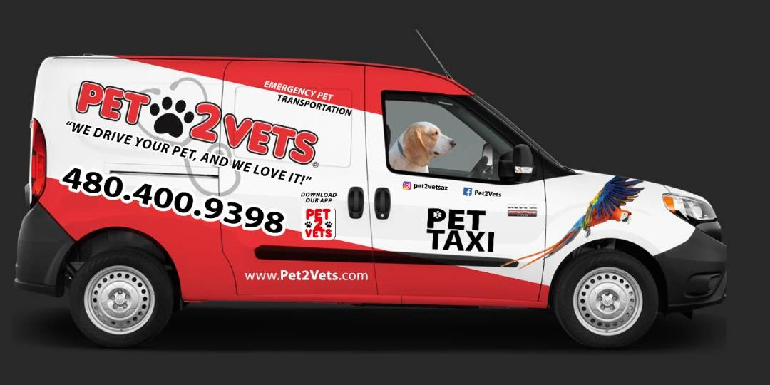 Save 15% on Pet Transportation Services at Pet2Vets