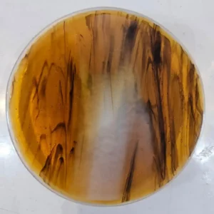 Autumn Embers - Fused Glass