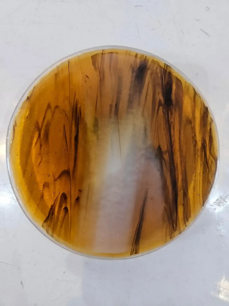 Autumn Embers - Fused Glass
