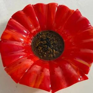 Radiant Poppy - Fused Glass