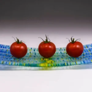 Ocean Woven Plate - Fused Glass