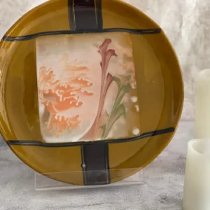 Soft Reach - Fused Glass