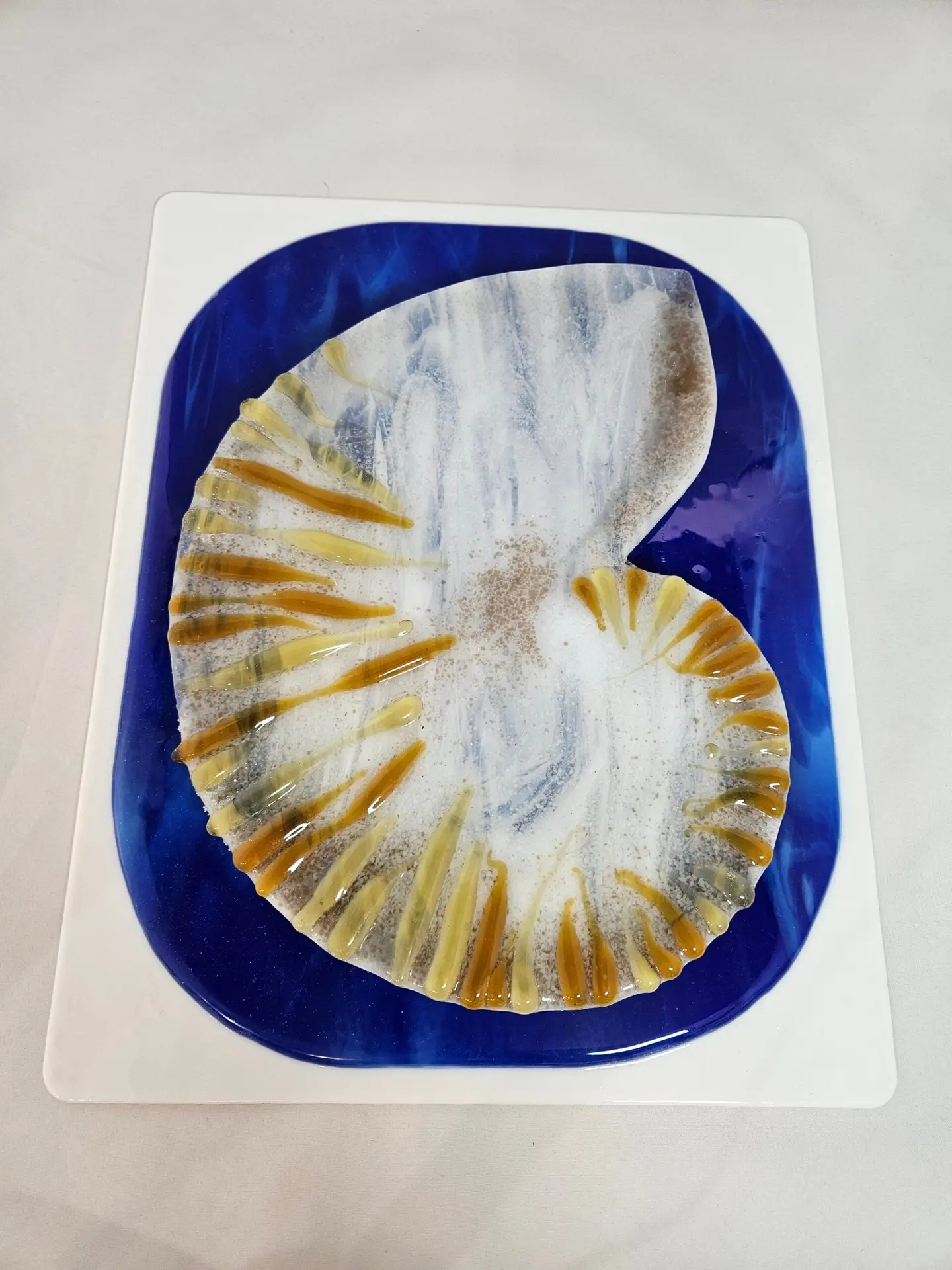 Nautilus Drift - Fused Glass