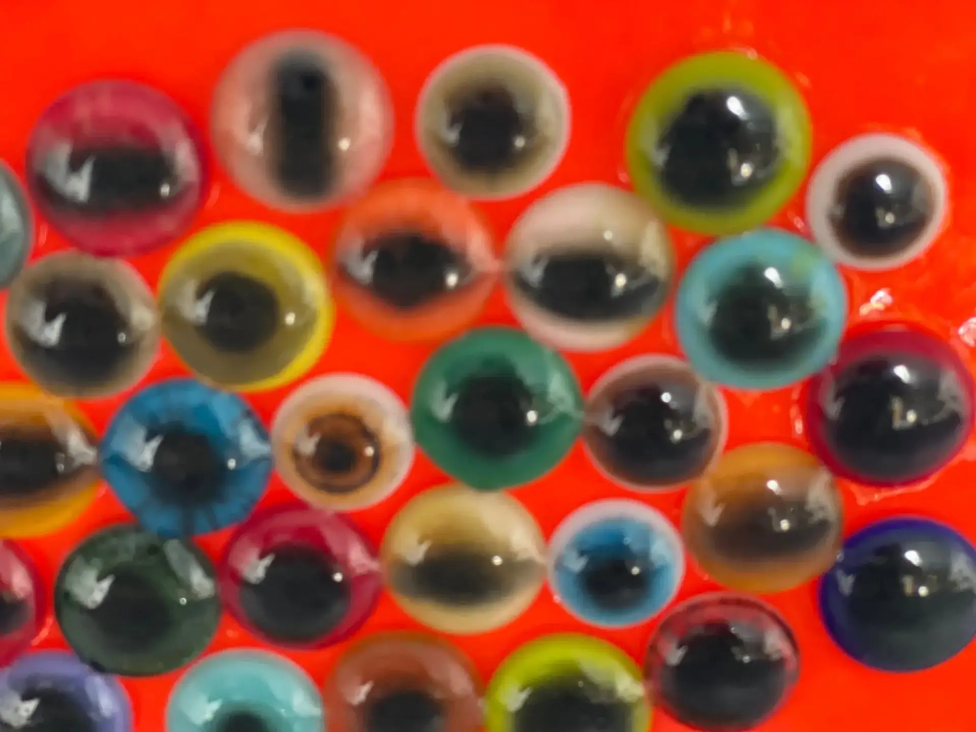 Vibrant Vision - Fused Glass