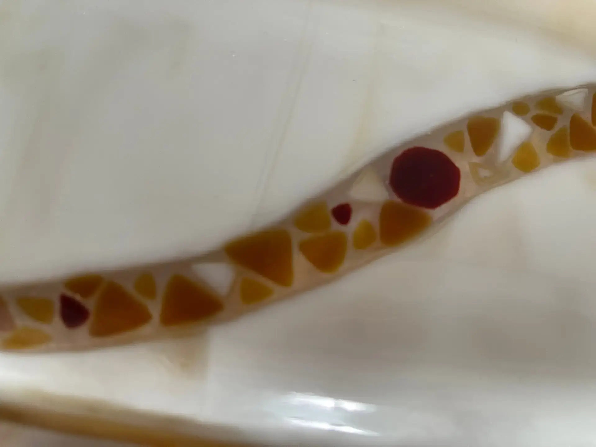 Amber Current Fused Glass Dish - Image 3