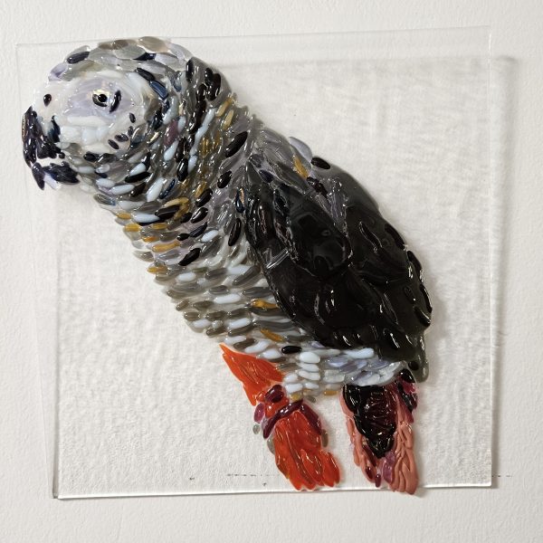 Feathered Observer - Fused Glass
