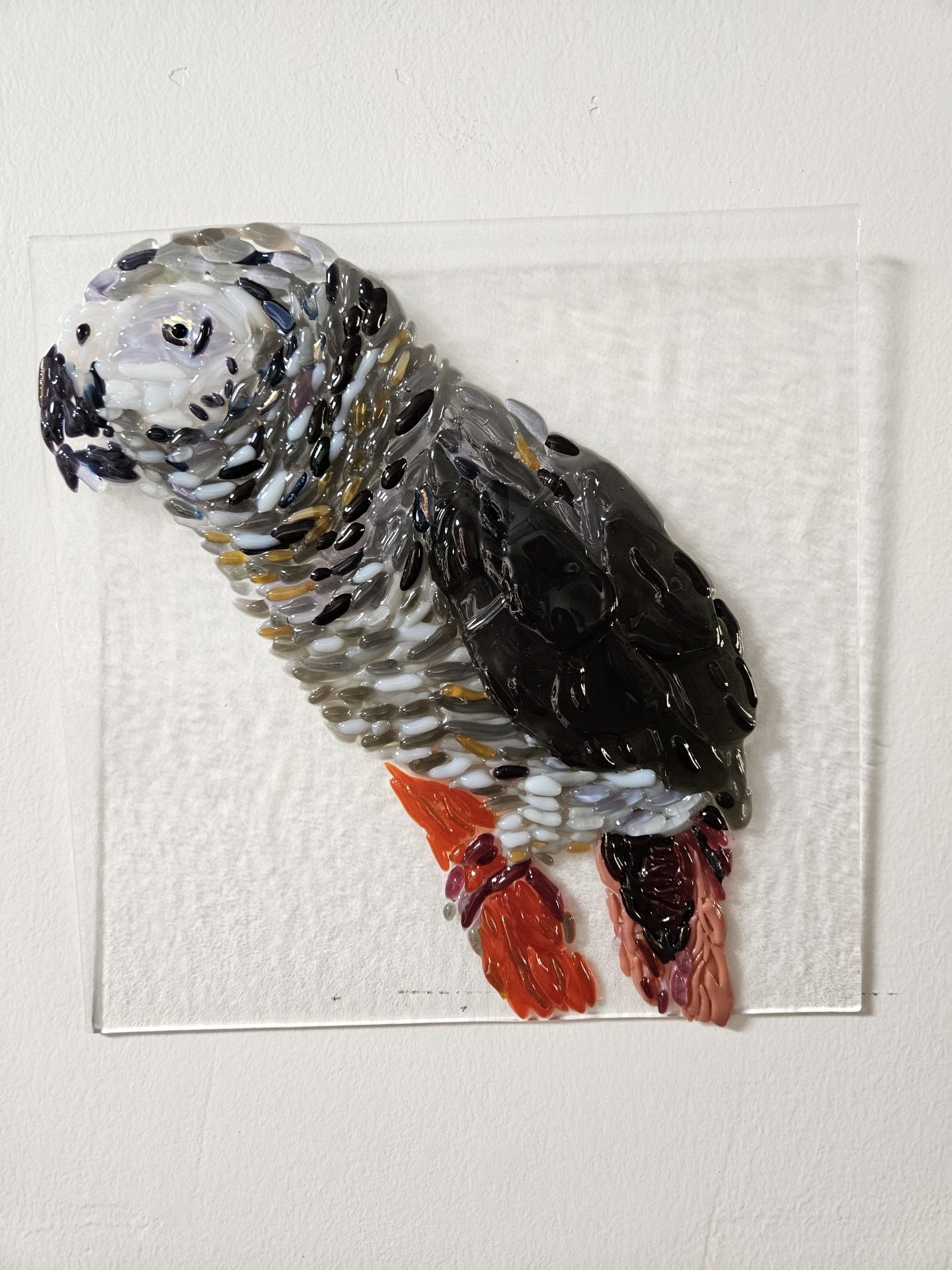 Feathered Observer - Fused Glass
