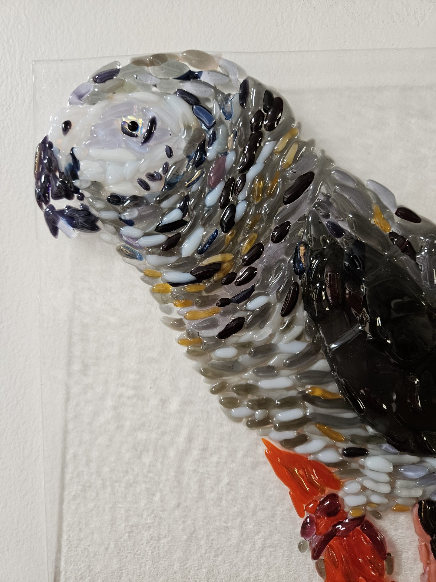 Feathered Observer - Image 2