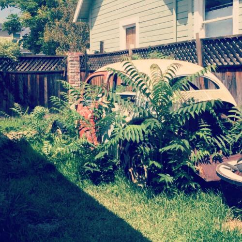The oval when I rescued it