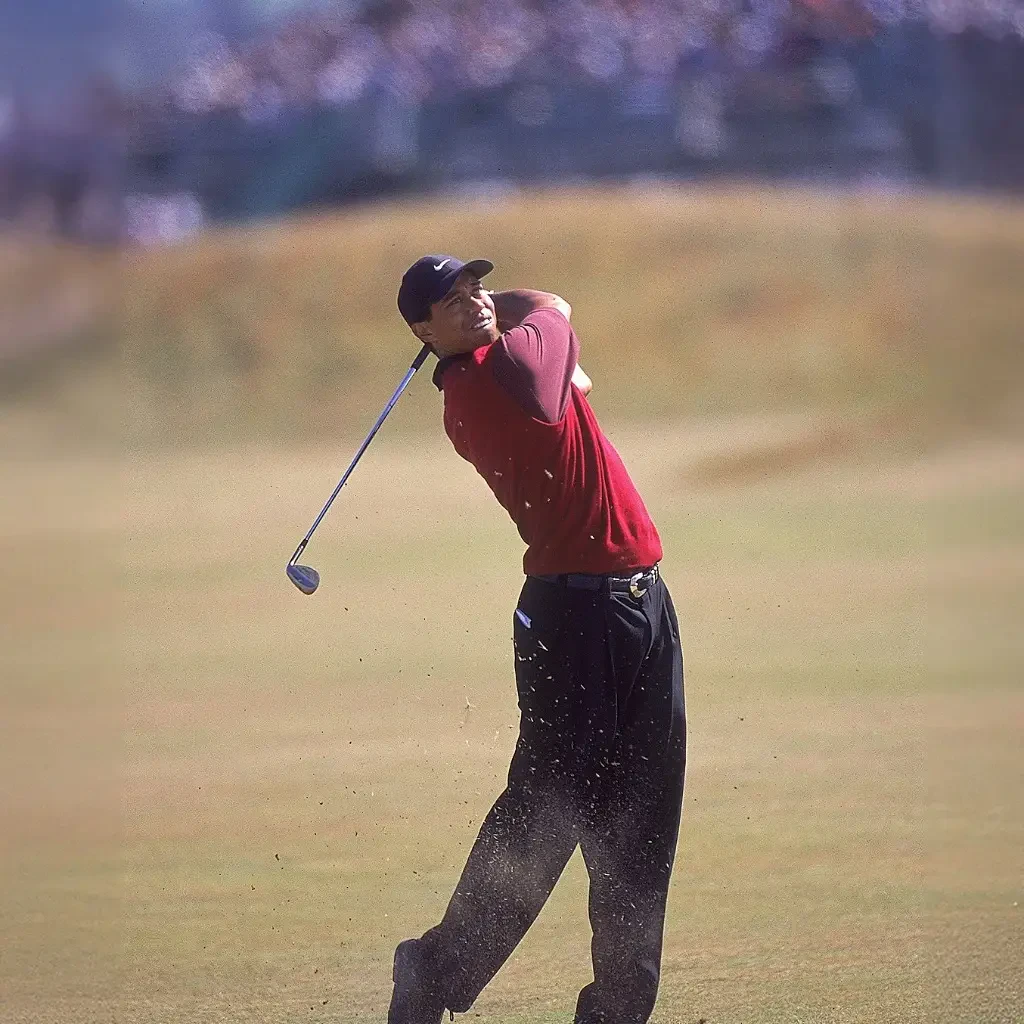 Portrait of Tiger Woods