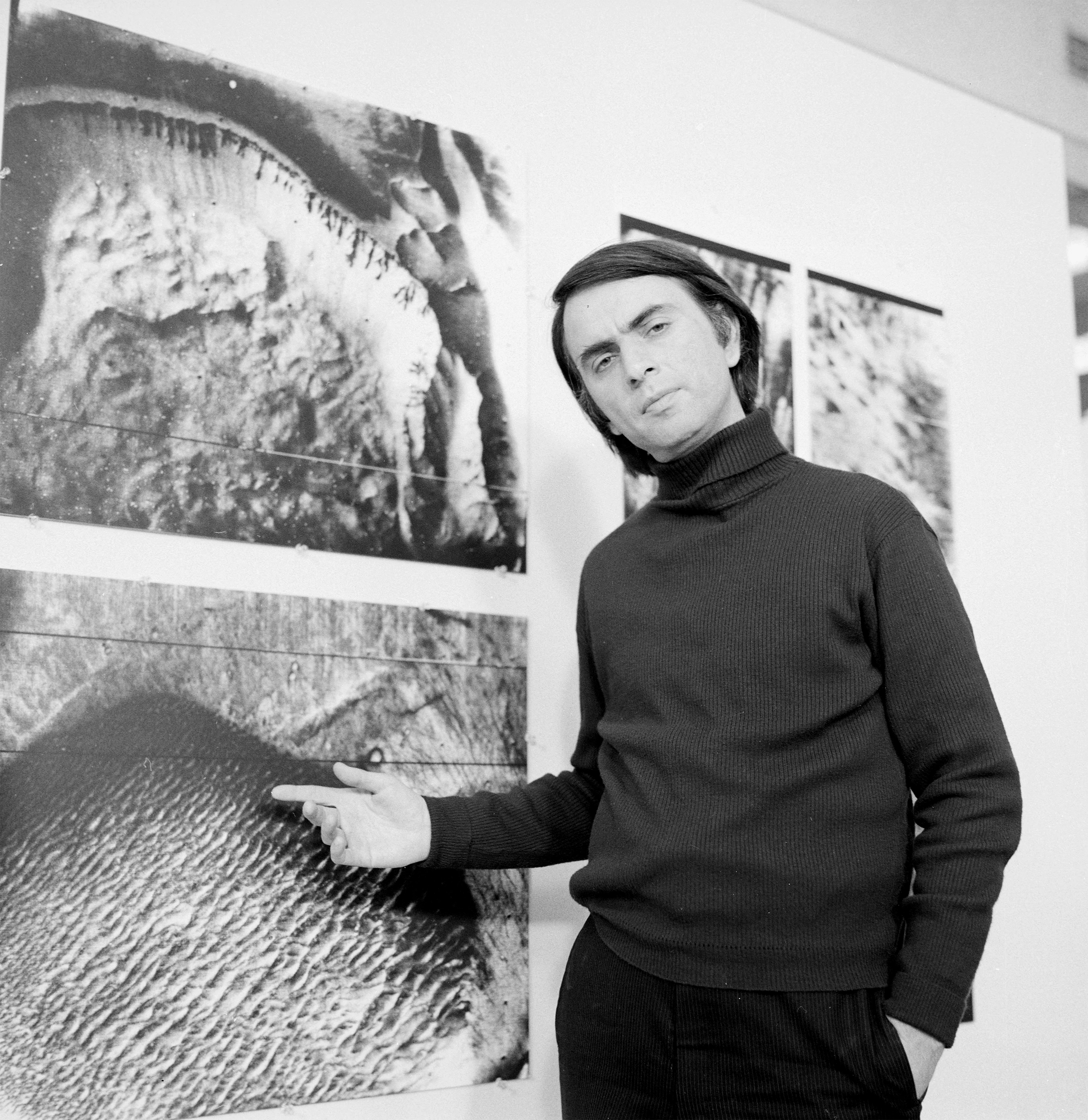 Portrait of Carl Sagan