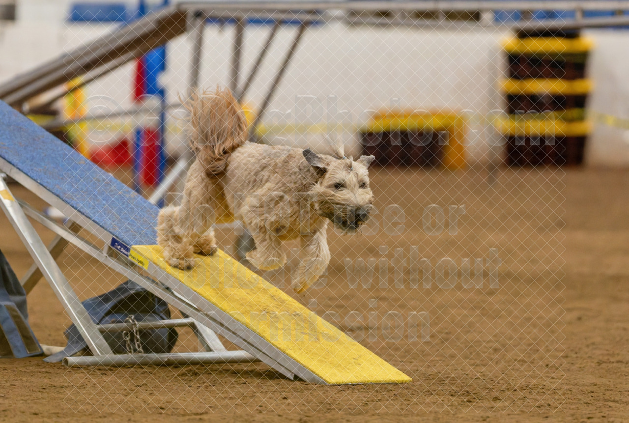 Agility - August WestWorld August 21-23