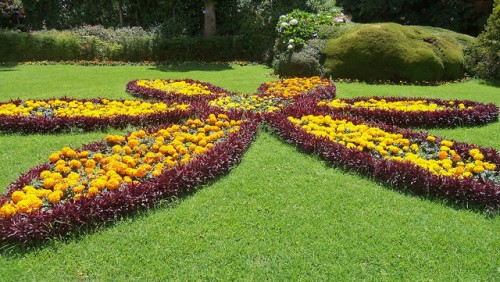 Ooty Flower Show go Heritage run