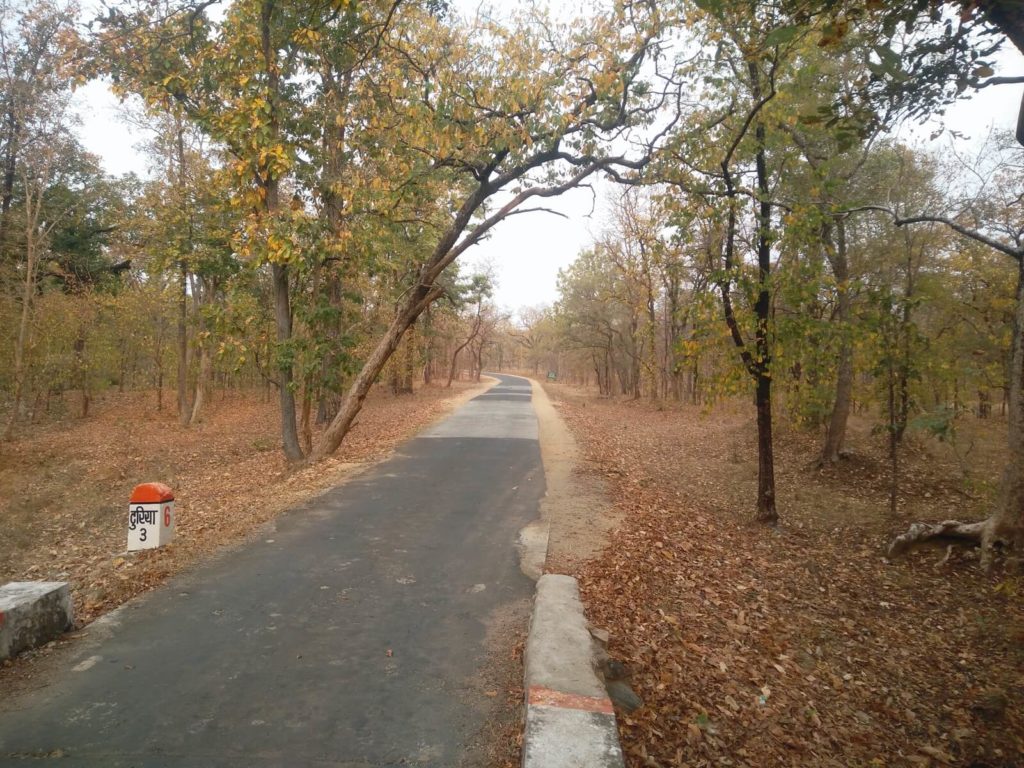 Pench National Park