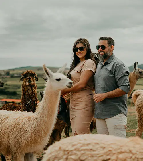 Andes Romance