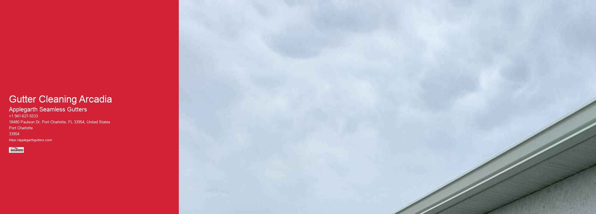 Gutter Cleaning Arcadia