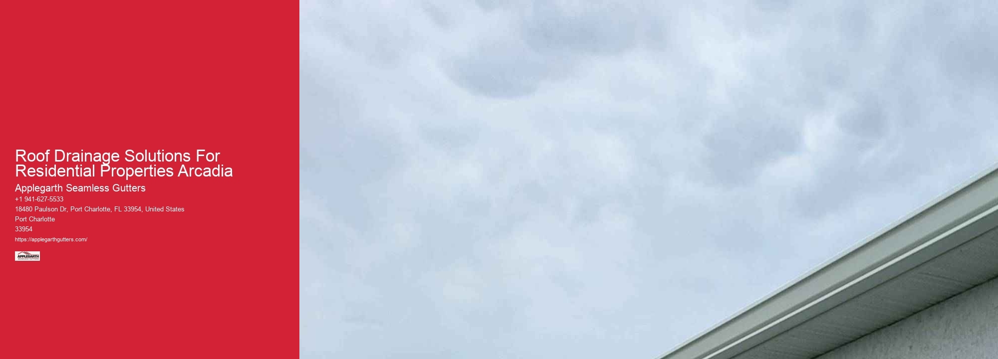 Roof Drainage Solutions For Residential Properties Arcadia