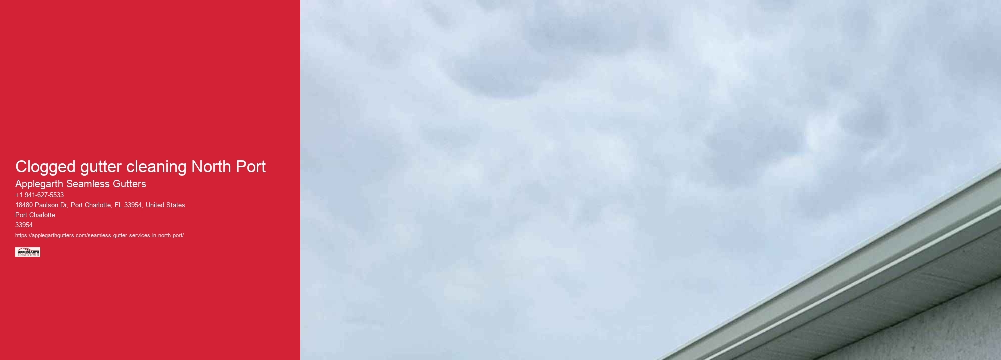 Clogged gutter cleaning North Port