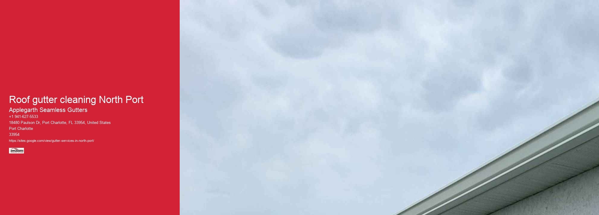 Roof gutter cleaning North Port