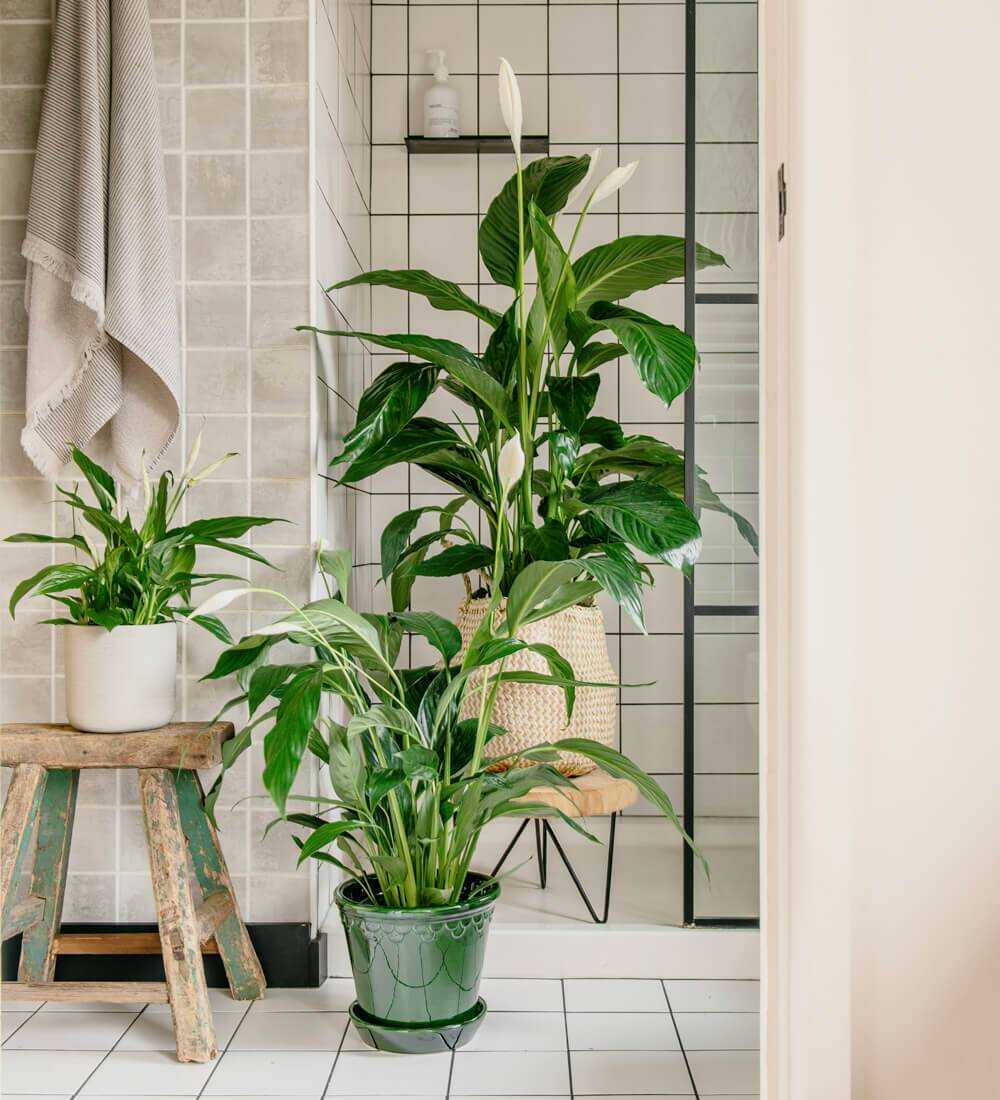 Blog, Farmhouse Decor, Inspiration Bathroom wall art ideas