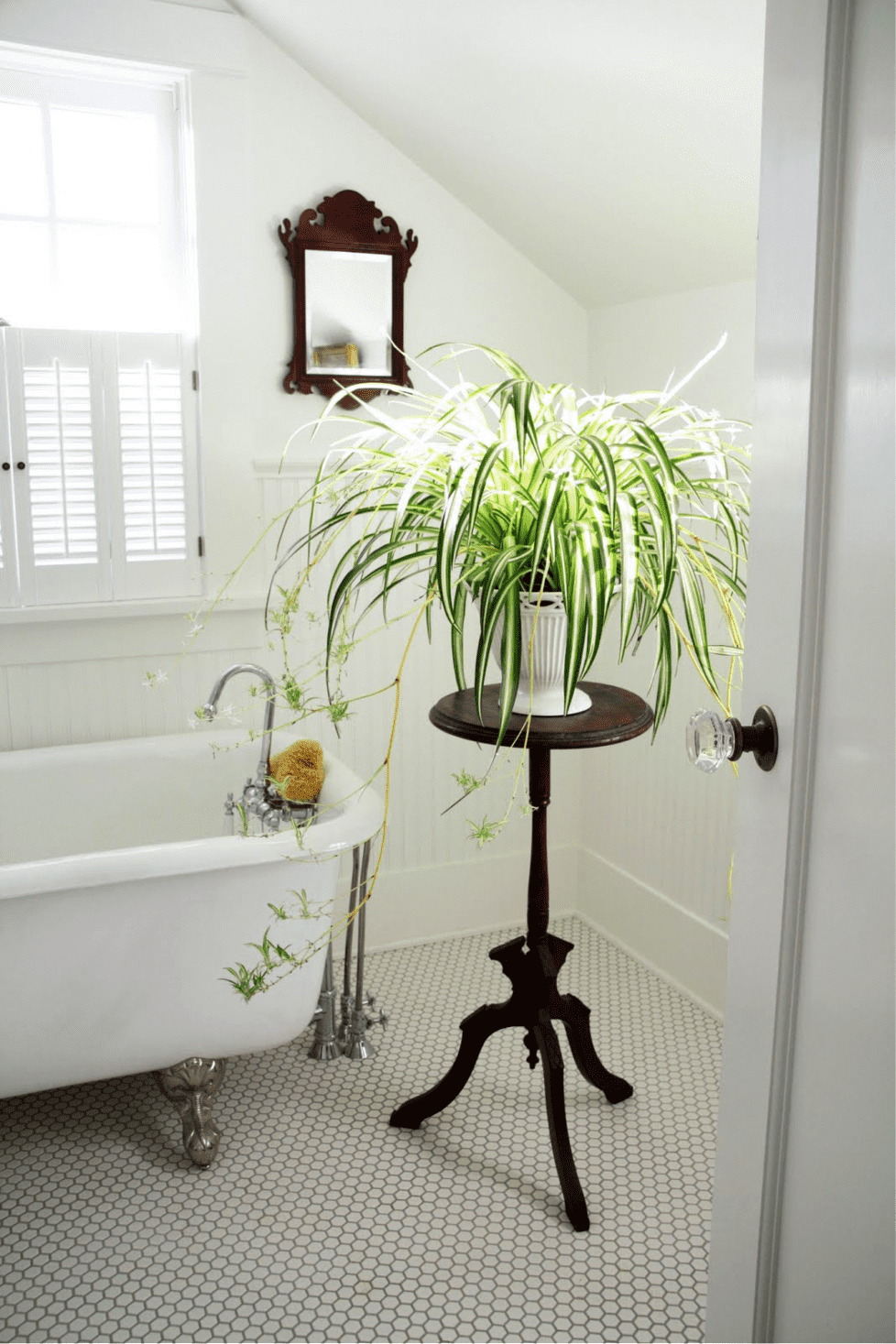 Blog, Farmhouse Decor, Inspiration Bathroom wall art ideas