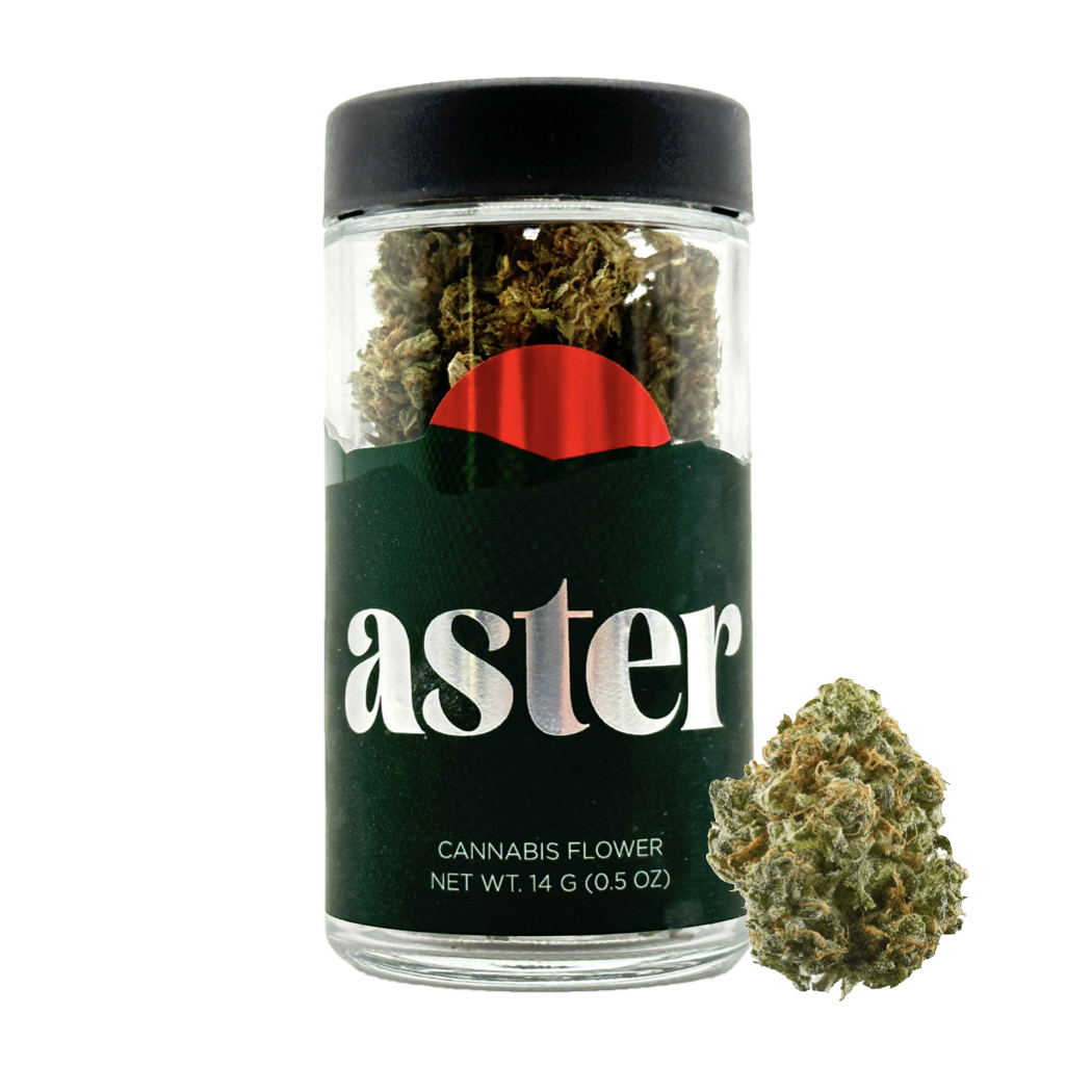 Aster Farms Ruby Violet 14g HERB Delivery