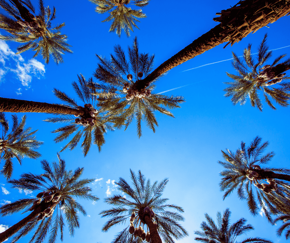 The Real Cost of Garage Door Repair Hero tec - Gate Repair And Installation The Real Cost of Garage Door Repair