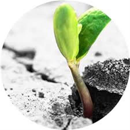 Outpatient Addiction Treatment Arcadia CA