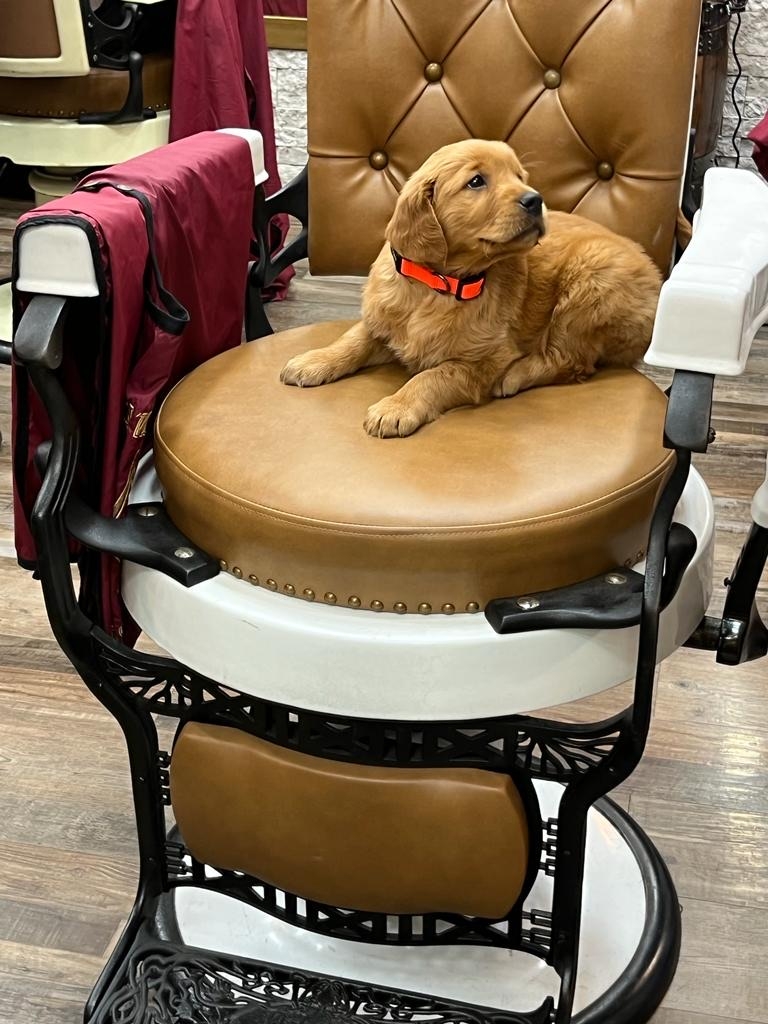 Enhancing Your Hot Towel Shave with Aromatherapy