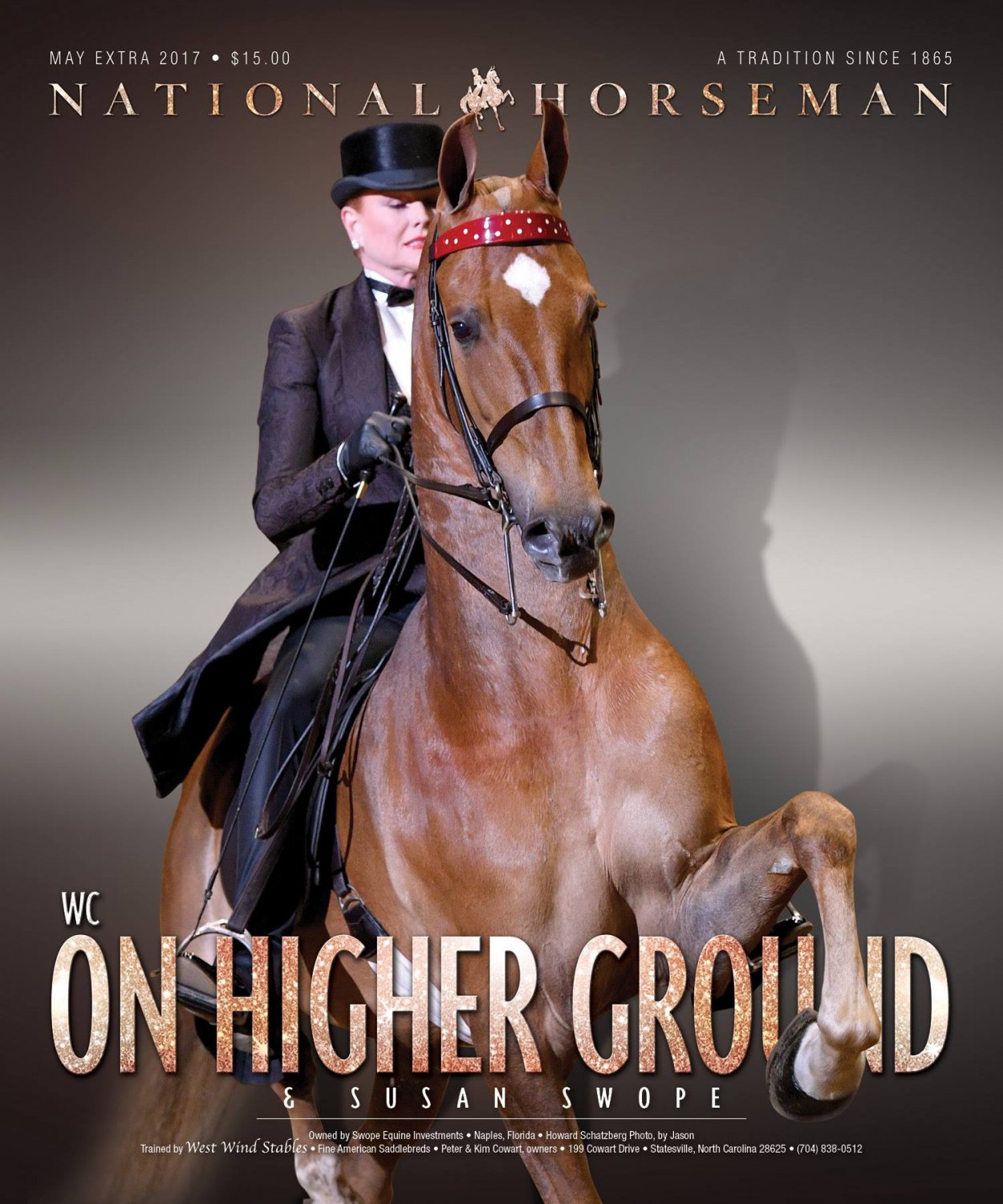 Published Covers | 18320550_1390440971069724_3147297662742986674_o.jpg